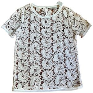 NWT Ann Taylor Loft small cream lace top.